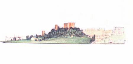 disegno della sezione